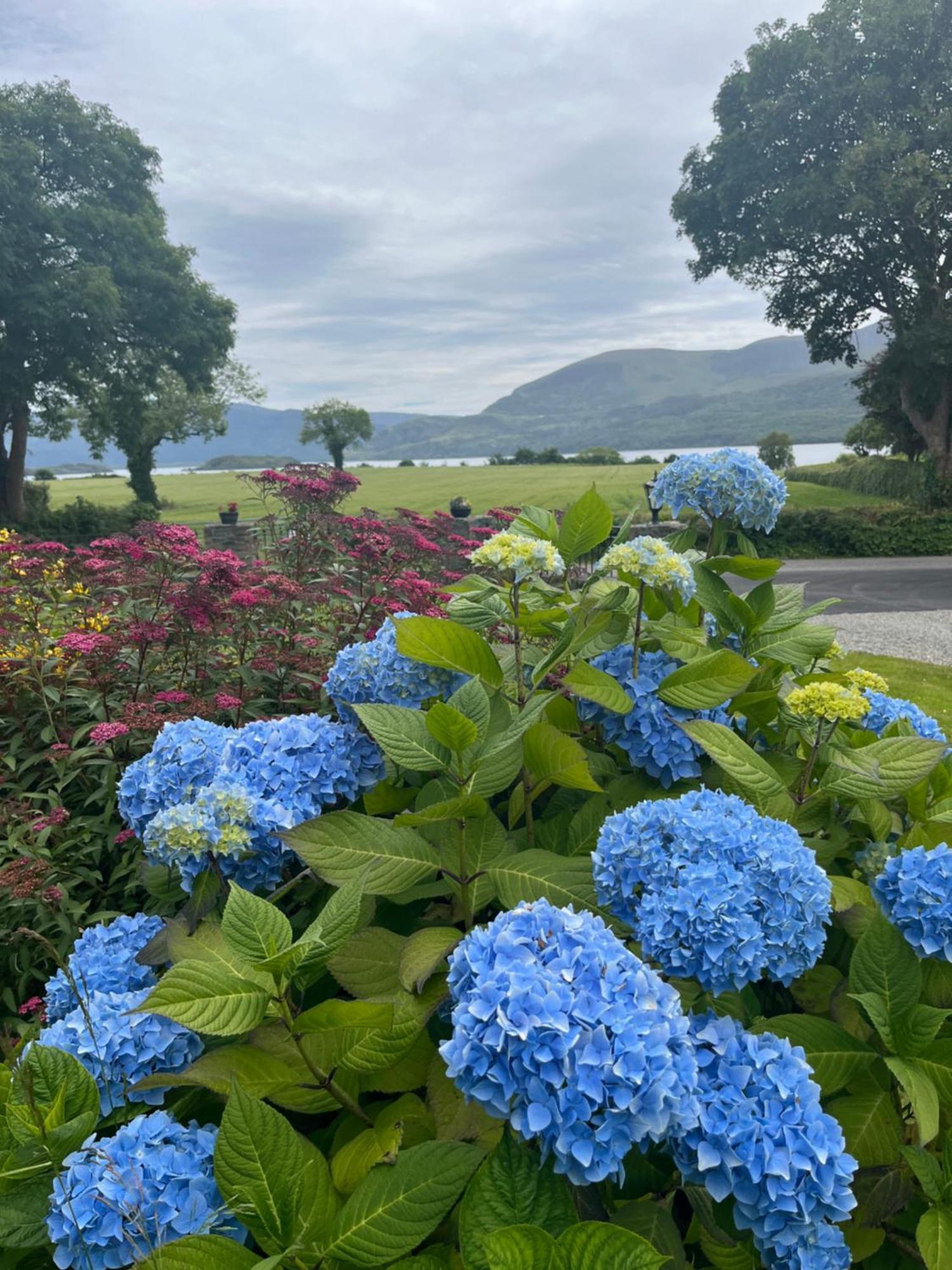 Loch Lein Country House Killarney Extérieur photo